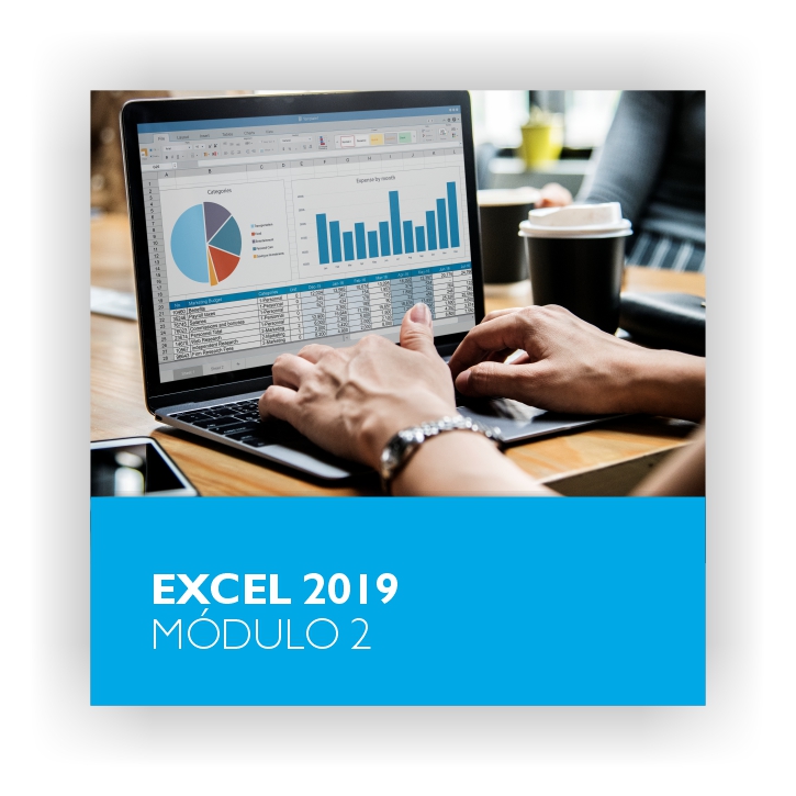 Excel 2019 - Módulo 2